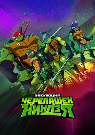 Эволюция Черепашек-ниндзя
