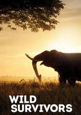 Tierische Überlebenskünstler