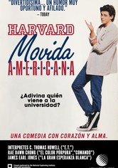 Harvard: movida americana