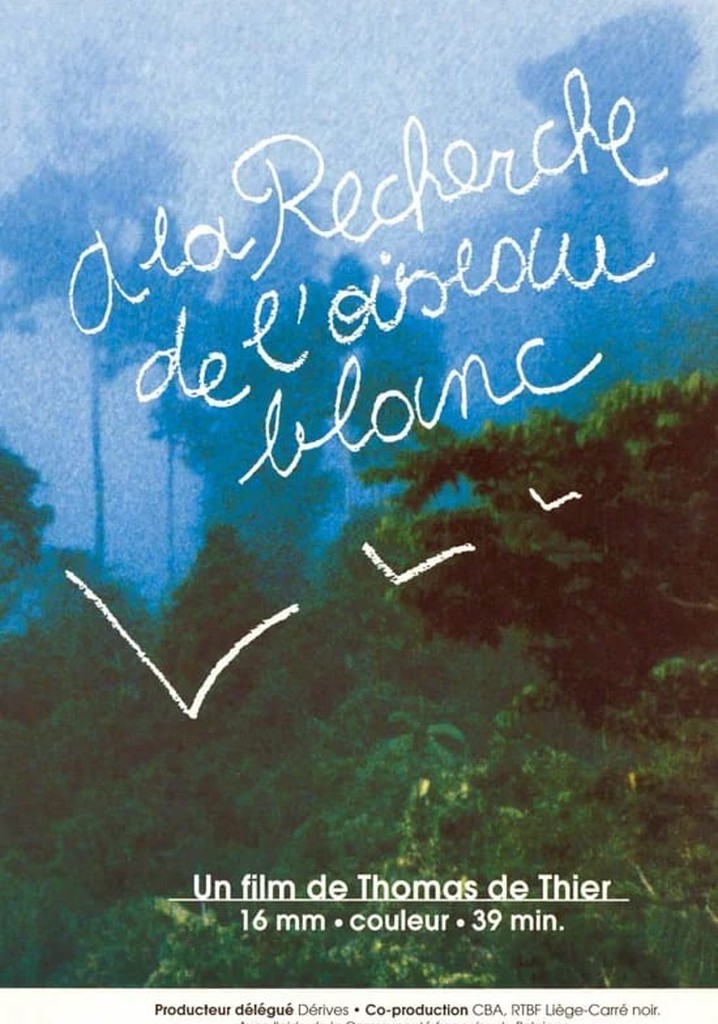 A la recherche de l'oiseau blanc