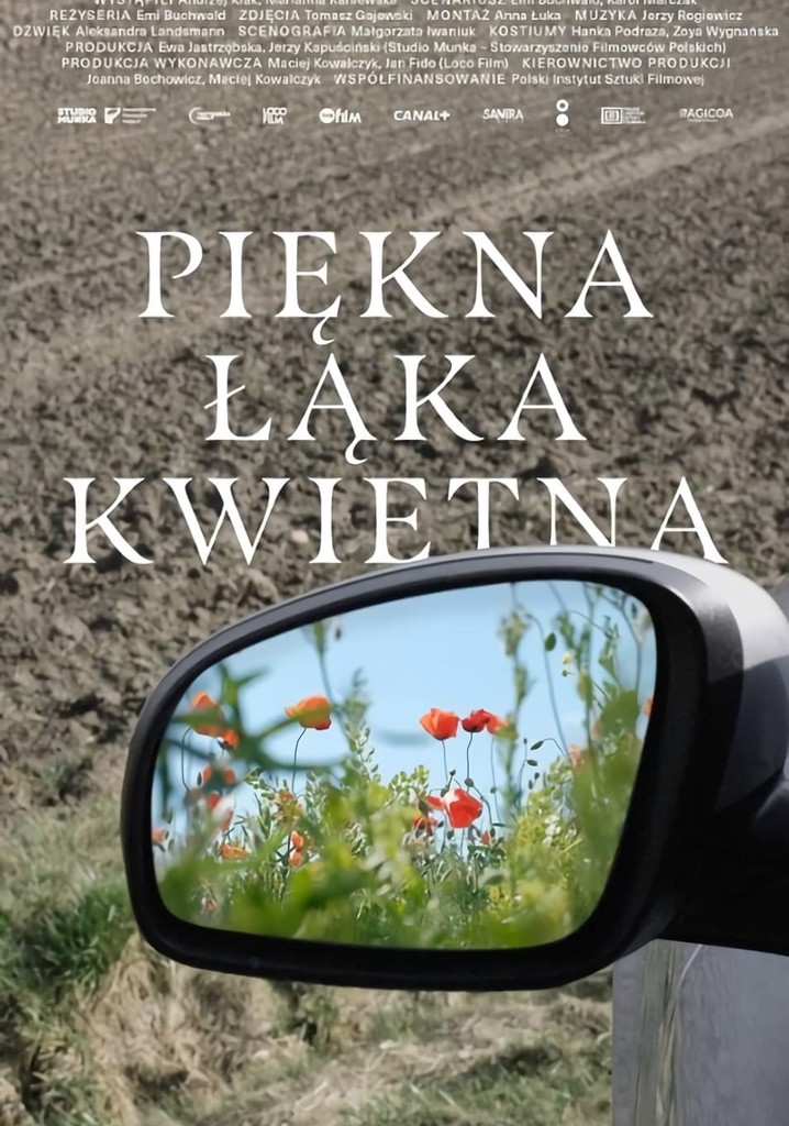 A Beautiful Wildflower Meadow