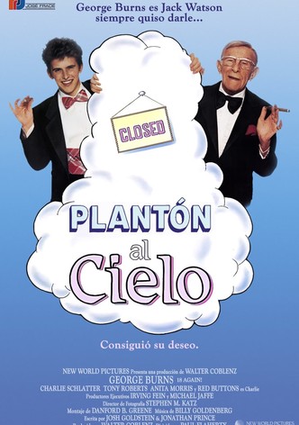Plantón Al Cielo