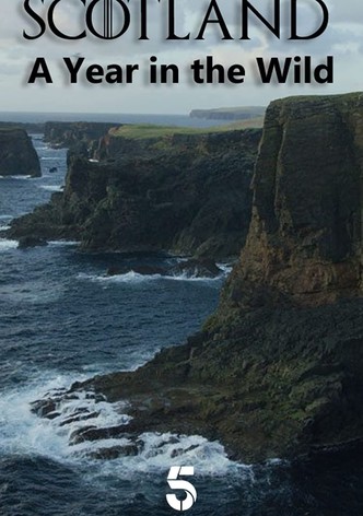 A Year in the Wild - Season 1