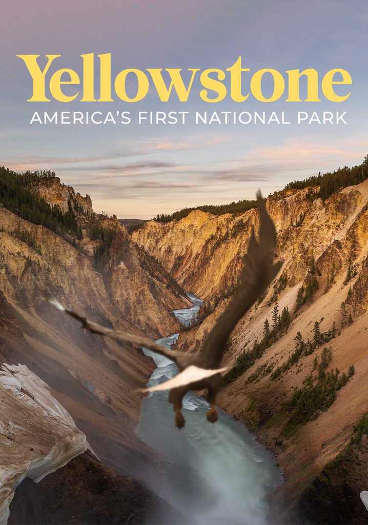 Yellowstone: America's First National Park - stream