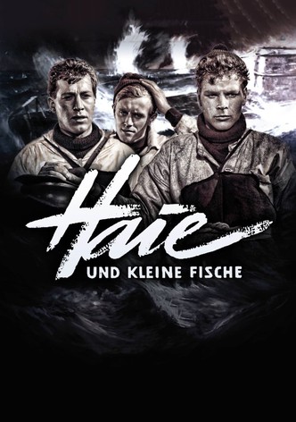 Haie und kleine Fische