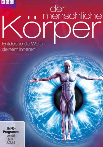 Der menschliche Körper - Entdecke die Welt in deinem Inneren