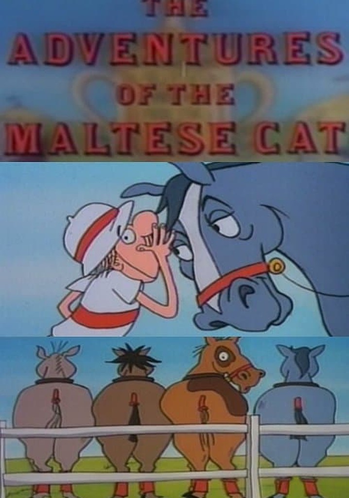 The Adventures of the Maltese Cat