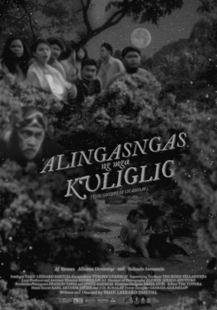 The Gossips of Cicadidae