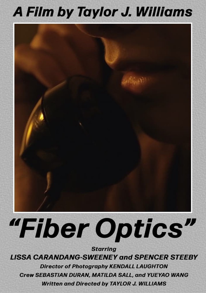 Fiber Optics