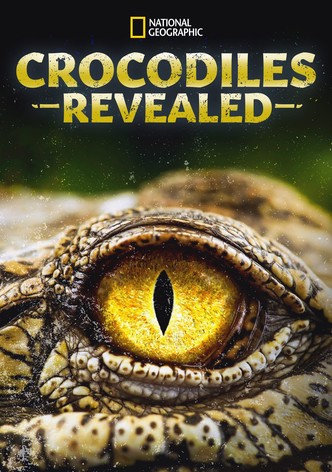 Crocodiles Revealed
