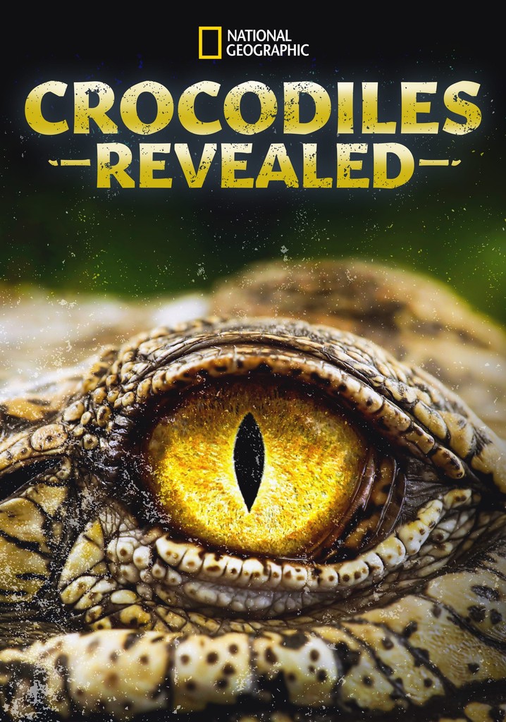 Timsahların Gizli Yaşamı