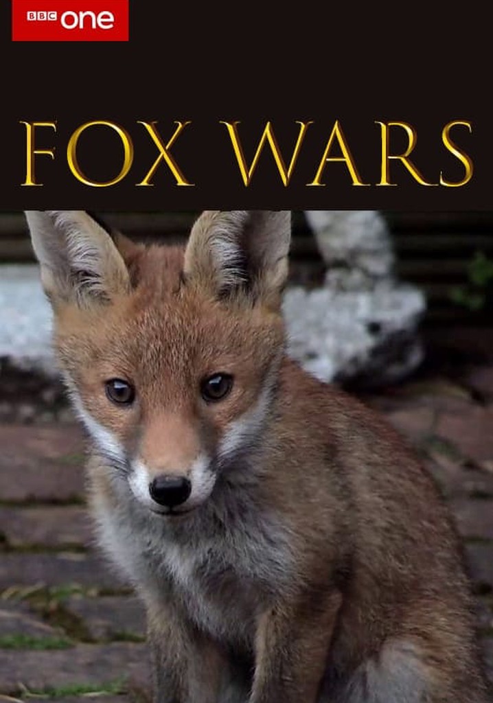 Fox Wars