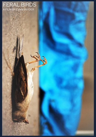Feral Birds