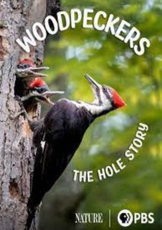 Woodpeckers: The Hole Story