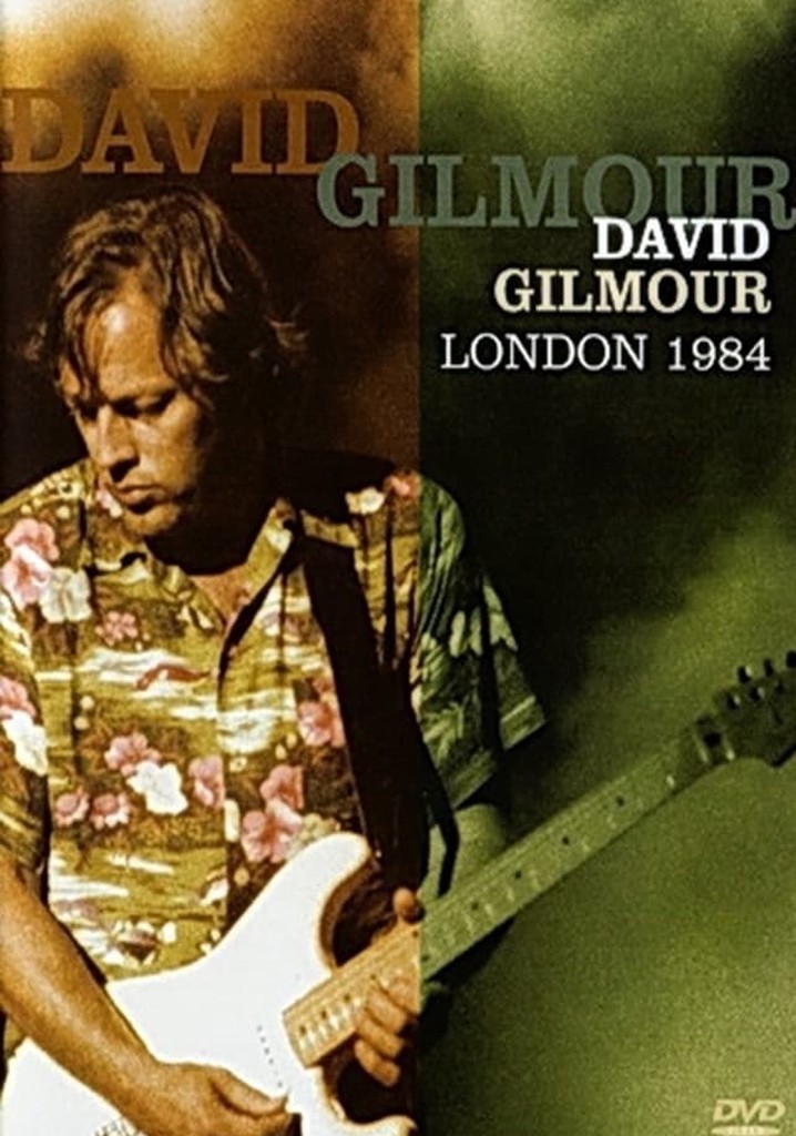 David Gilmour - London 1984