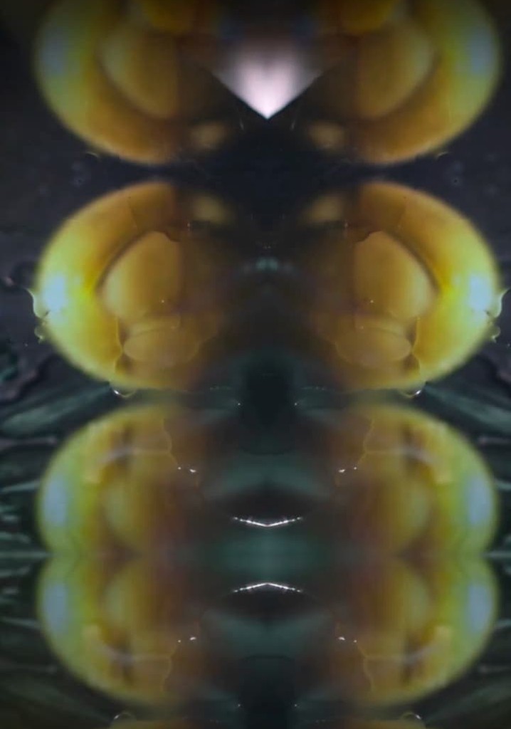 Howe Are You Island ?