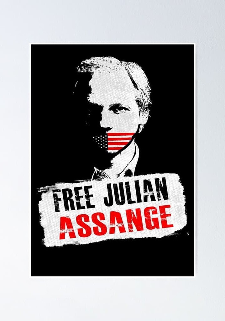 Der Fall Assange: Eine Chronik