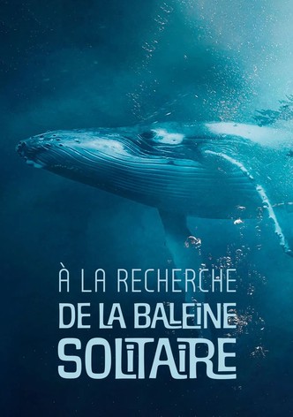 À la recherche de la baleine solitaire