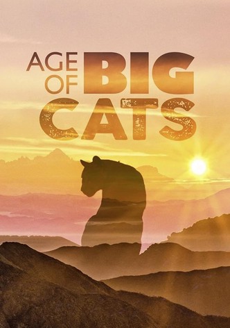Age of Big Cats