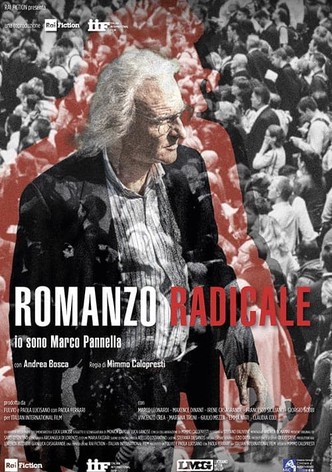 Romanzo Radicale