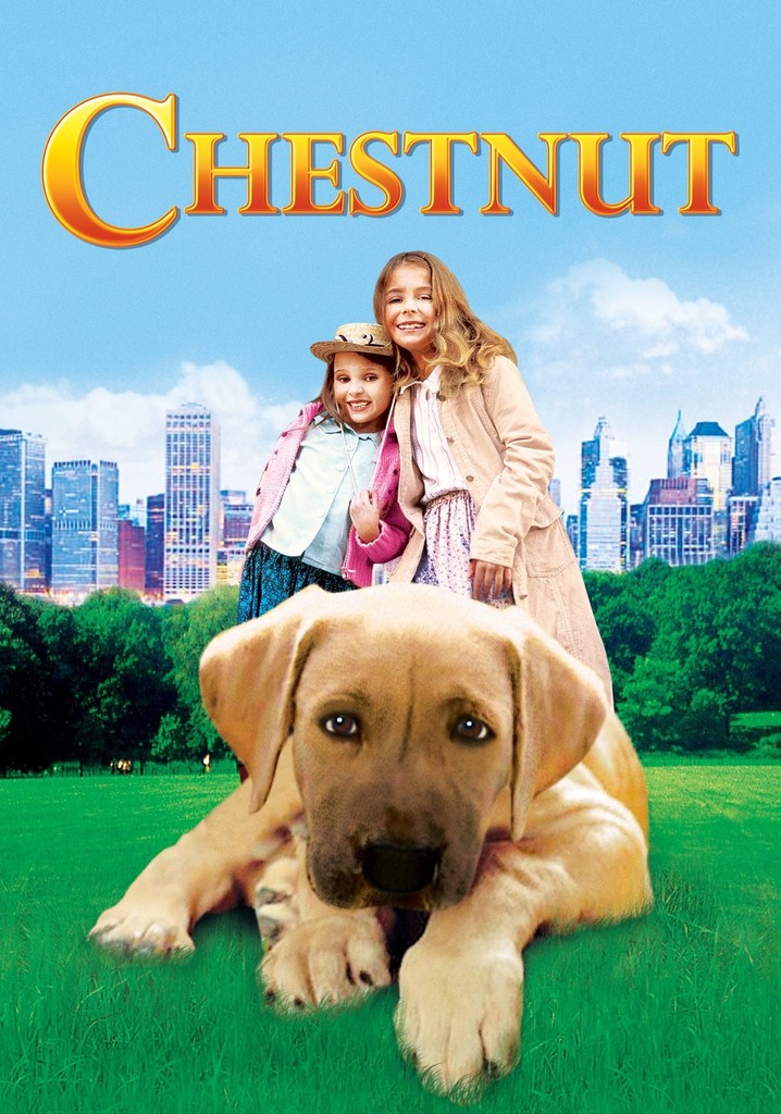 Chestnut: Hero of Central Park streaming online - JustWatch
