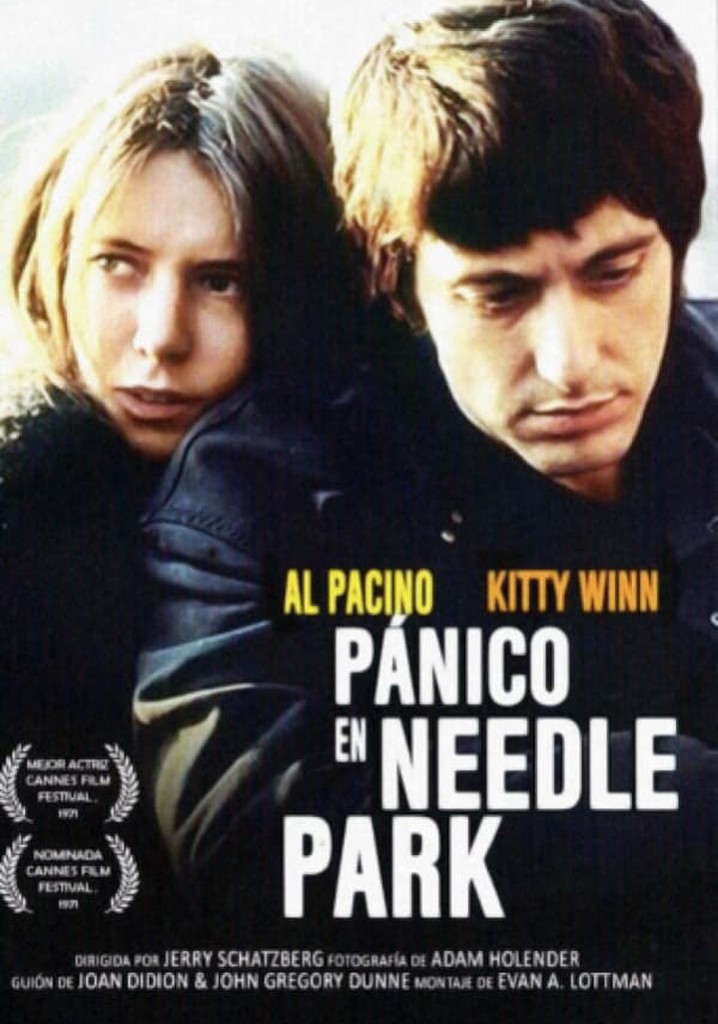 Watch The Panic In Needle Park Online Free Pánico en Needle Park - película: Ver online en español
