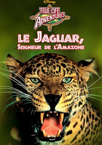 Le Jaguar, seigneur de l'Amazone