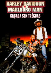 Harley Davidson e o Cowboy do Asfalto