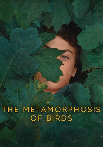 The Metamorphosis of Birds