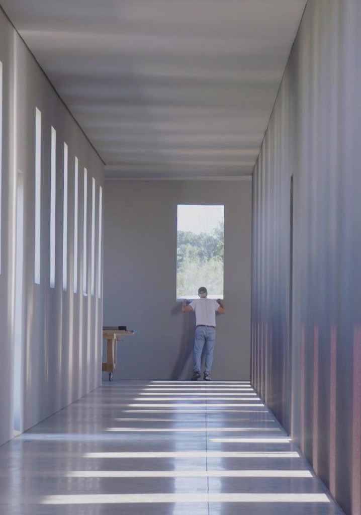 Robert Irwin: A Desert of Pure Feeling