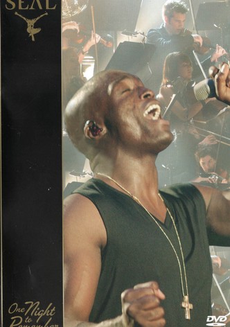 Seal: One Night To Remember