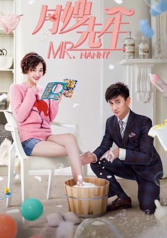 Mr. Nanny