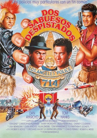 Dos sabuesos despistados