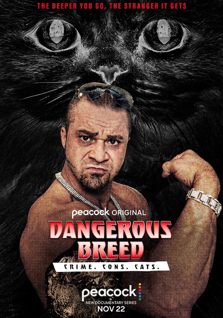 dangerous-breed-crime-cons-cats-season-1-streaming