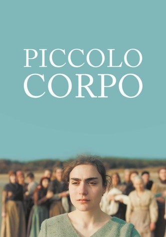 Piccolo corpo