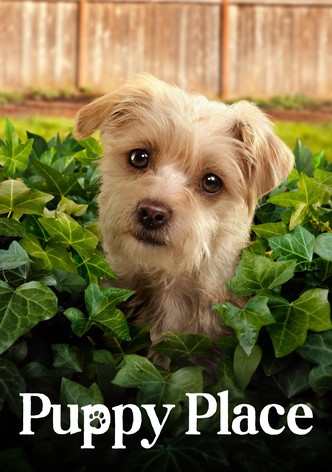 Perritos en busca de hogar - Temporada 2