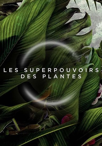 Les superpouvoirs des plantes