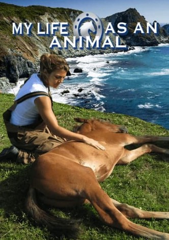My Life as an Animal