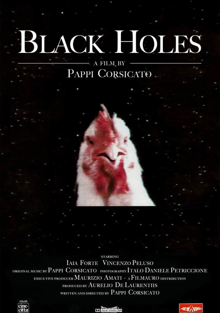 Black Holes