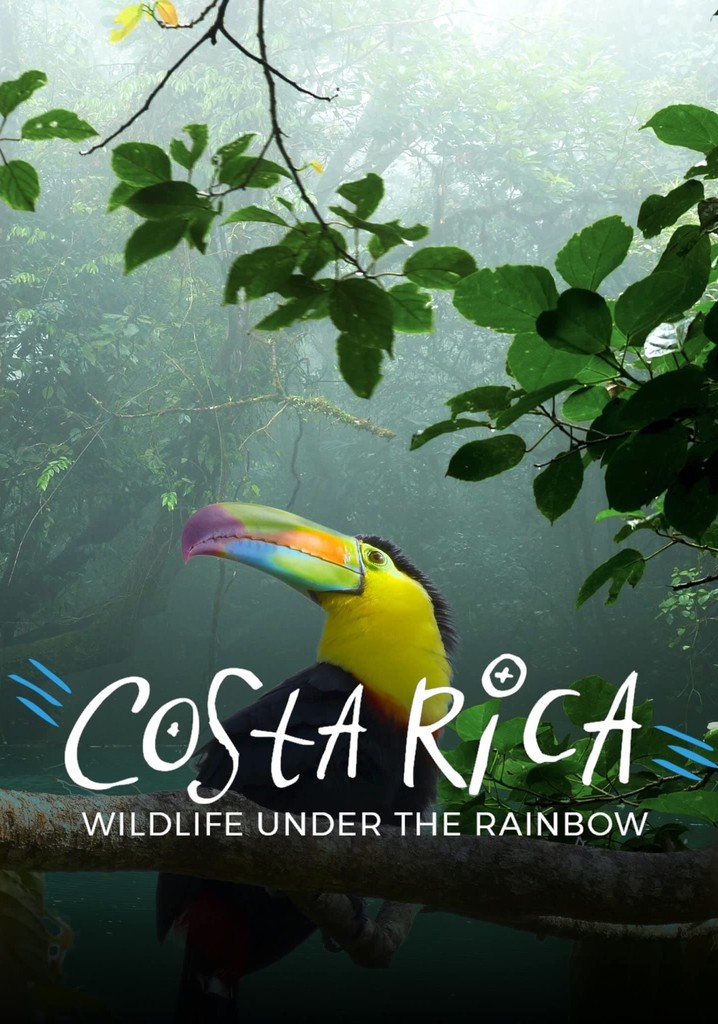 Costa Rica: Wildlife Under the Rainbow