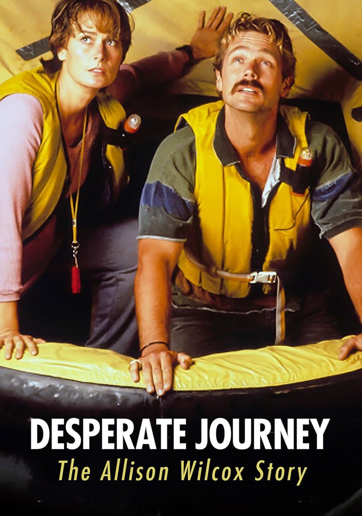 Desperate Journey: The Allison Wilcox Story