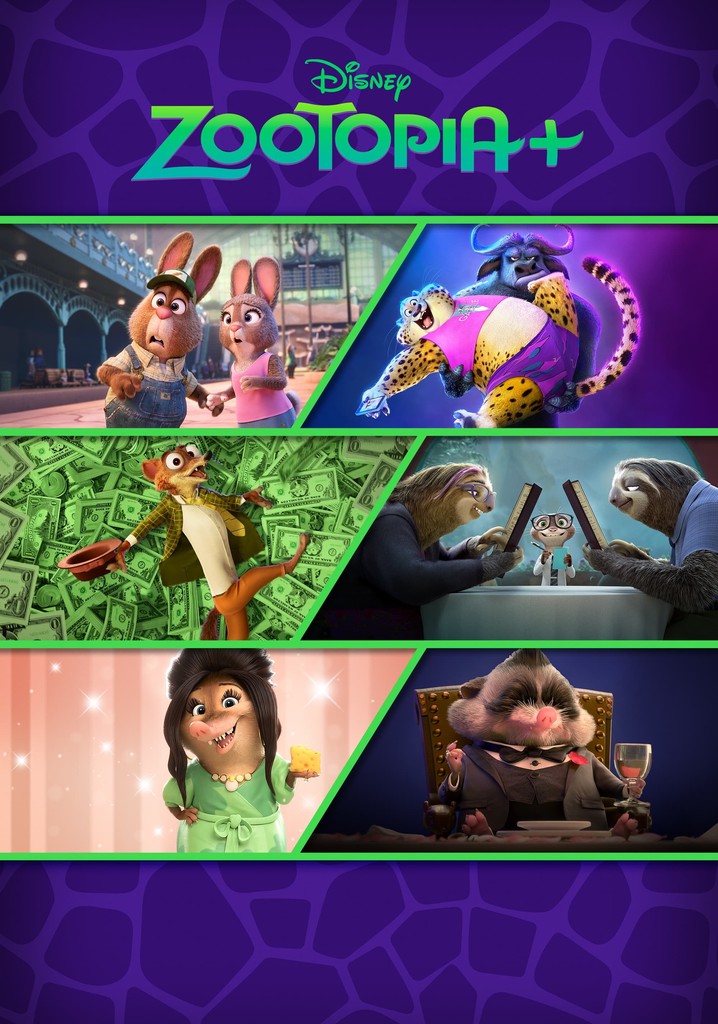 Disney marca data de estreia de Zootopia e Moana - Notícias de cinema -  AdoroCinema
