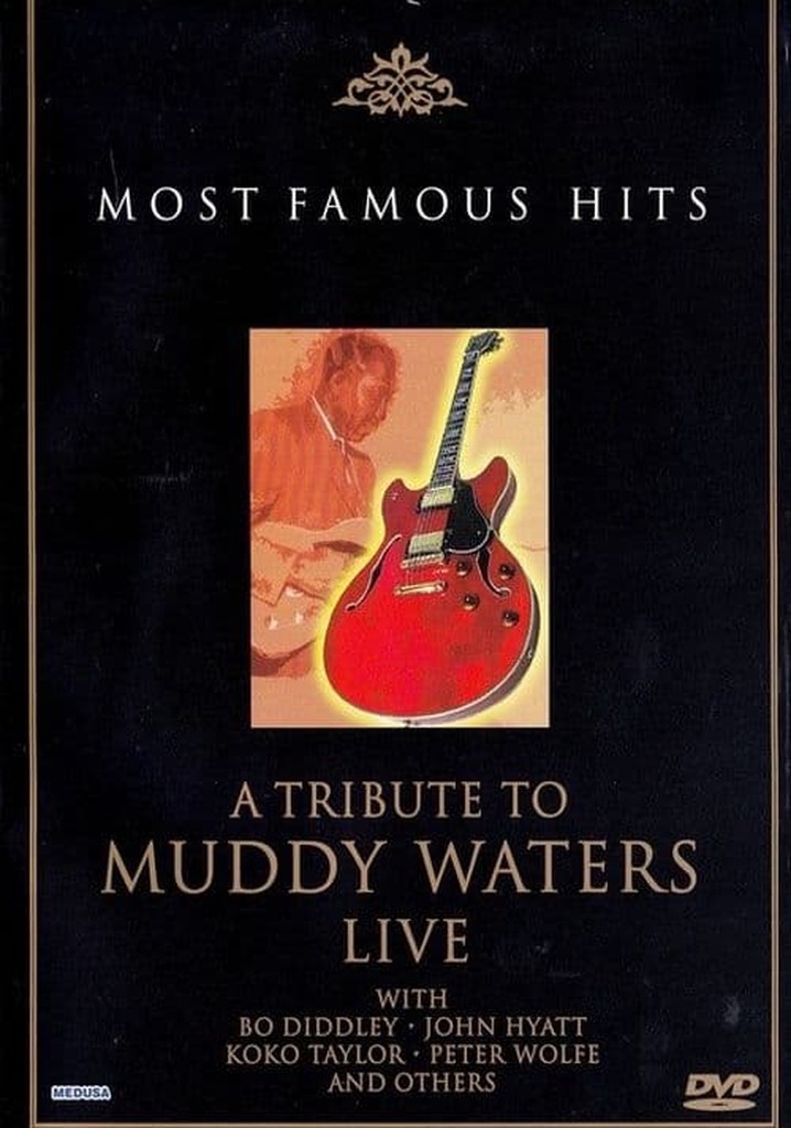 A Tribute to Muddy Waters - Live