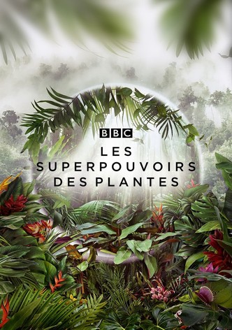 Les superpouvoirs des plantes