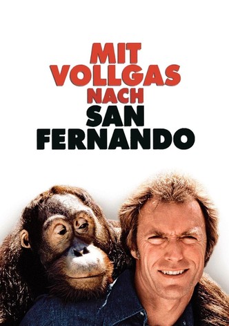 Mit Vollgas nach San Fernando