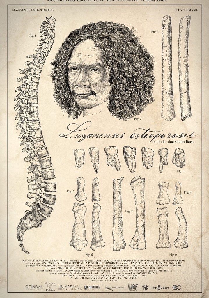 Luzonensis Osteoporosis