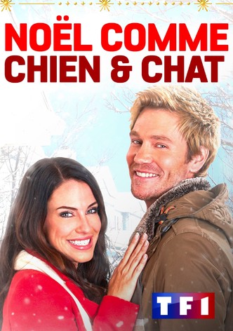 Noël comme chien et chat