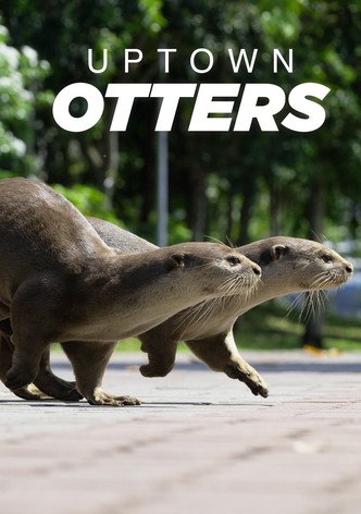 Uptown Otters