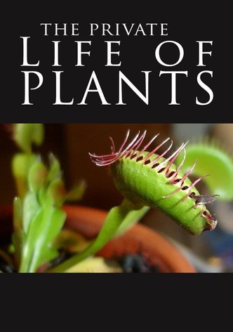 The Private Life of Plants