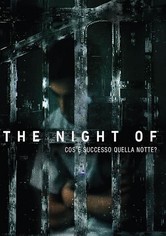 The Night of - Cosa è successo quella notte?